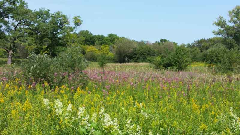 natural preserves in Bull Valley