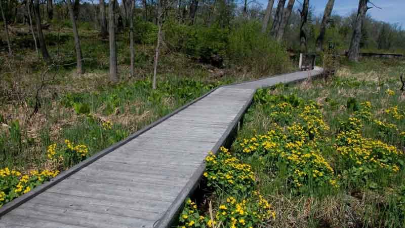 Boger Bog