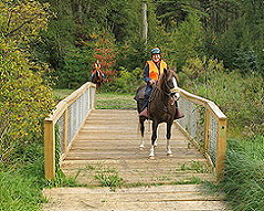 horse back riding