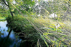 boone creek water shed