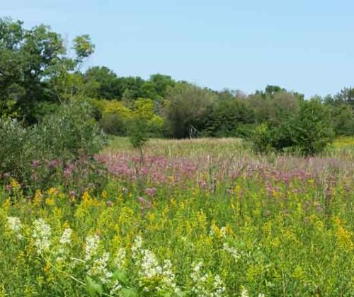 natural preserves in Bull Valley