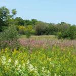 natural preserves in Bull Valley